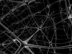 network-neurons-2-1043923-m